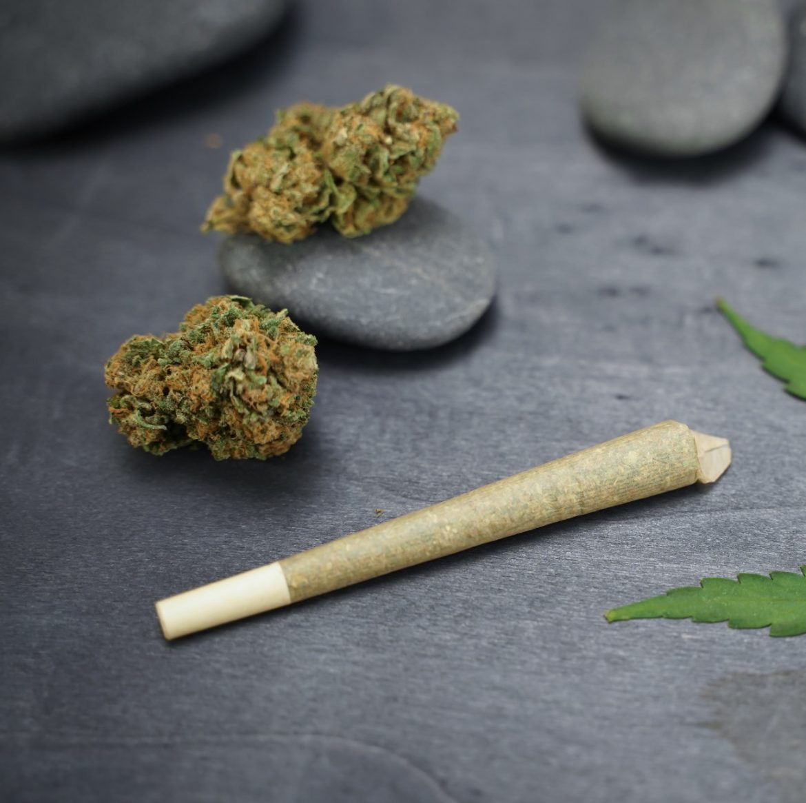 Cannabis Shop in Stoney Creek | Cannabis Concentrates near me